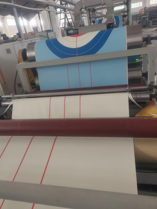 專業(yè)定制，盡顯非凡——記昨日工廠所見陸地冰壺地壺球?qū)Ｓ眠\(yùn)動地板